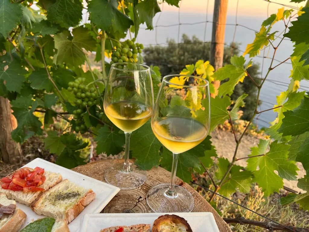 Deux verres de vin blanc sur table, vignes et mer de Cinque Terre