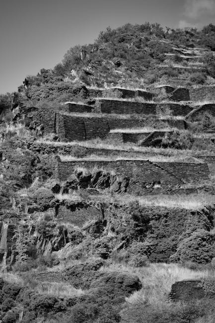 volunteers repairing dry stone wall terraces