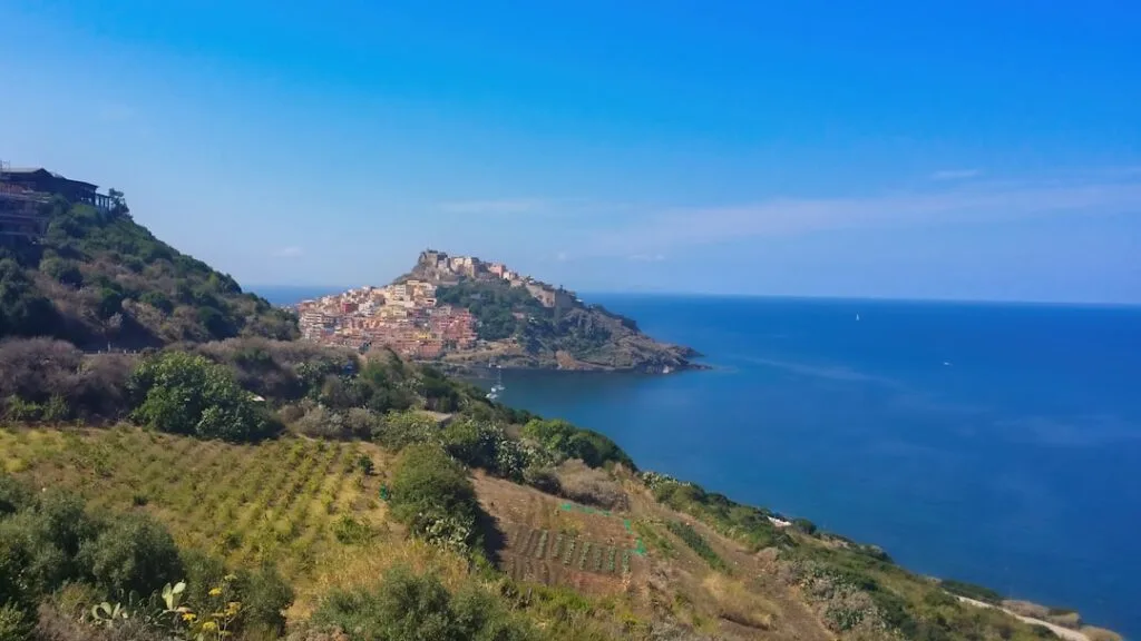 Vue sur un village côtier et vignes en terrasses, Cinque Terre
