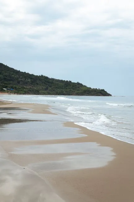 Plage de sable paisible et vaguelettes, côte boisée en arrière-plan