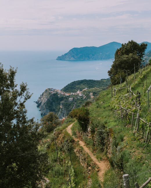 cinque terre hiking trail coastal path overview