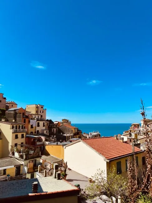 Toits colorés et vue sur la mer sous grand ciel bleu à Cinque Terre