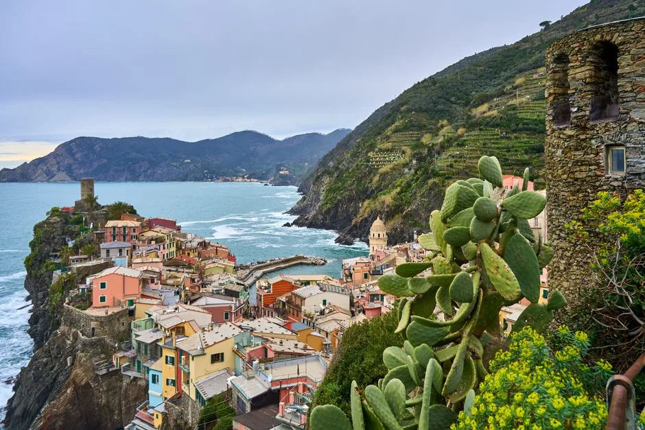 Vue sur les maisons en terrasses de Vernazza, Cinque Terre, avec cactus
