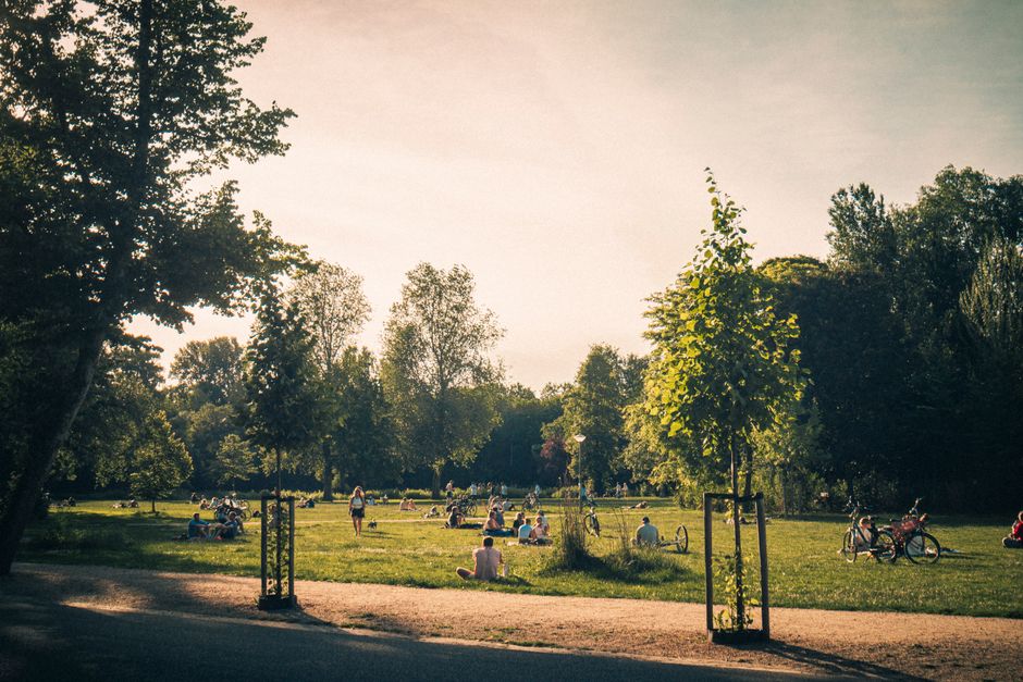 People biking in Vondelpark in spring