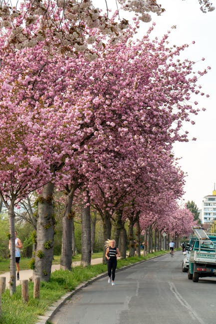 Fiori primaverili sull'Isola Margherita con corridori in città
