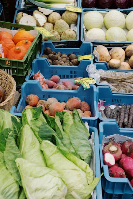 Lokale boerenmarkt met vegan kraampjes in Lichtenberg