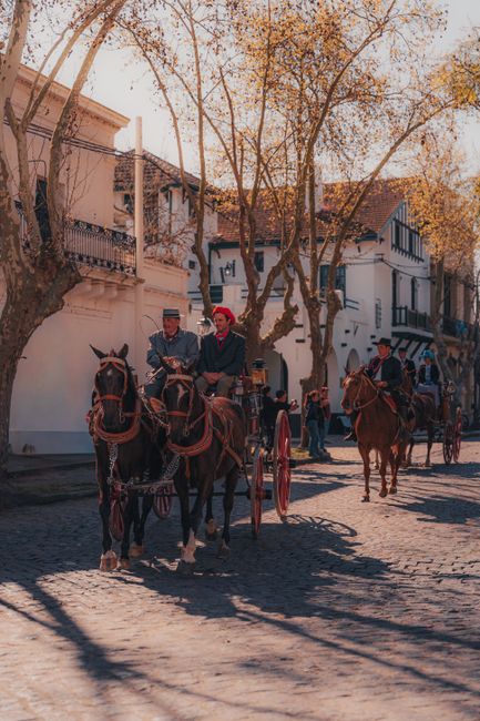 Büyükada island with horse-drawn carriage and seaside wooden mansions