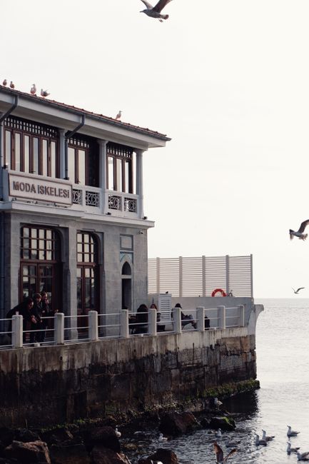 Kadıköy Moda seaside cafe in the morning crowd