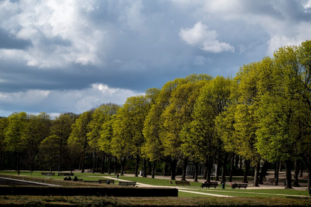 Rodzina na pikniku w parku w Brukseli