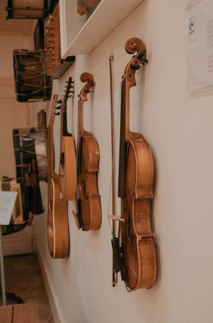 Vetrina con una collezione di violini antichi