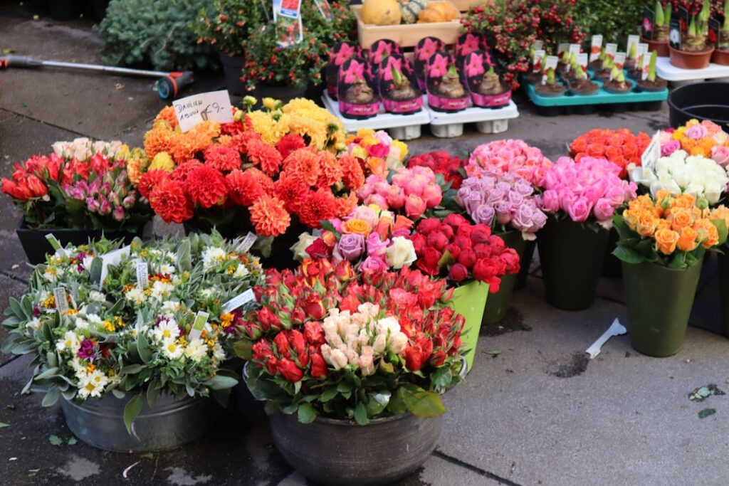 Mercato dei fiori colorato al Cours Saleya, perfetto dopo la visita al Palazzo