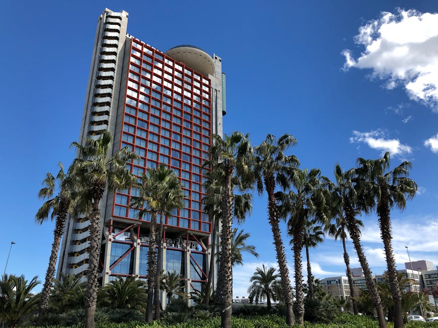 Piscina sul tetto e vista mare dello Hyatt Regency