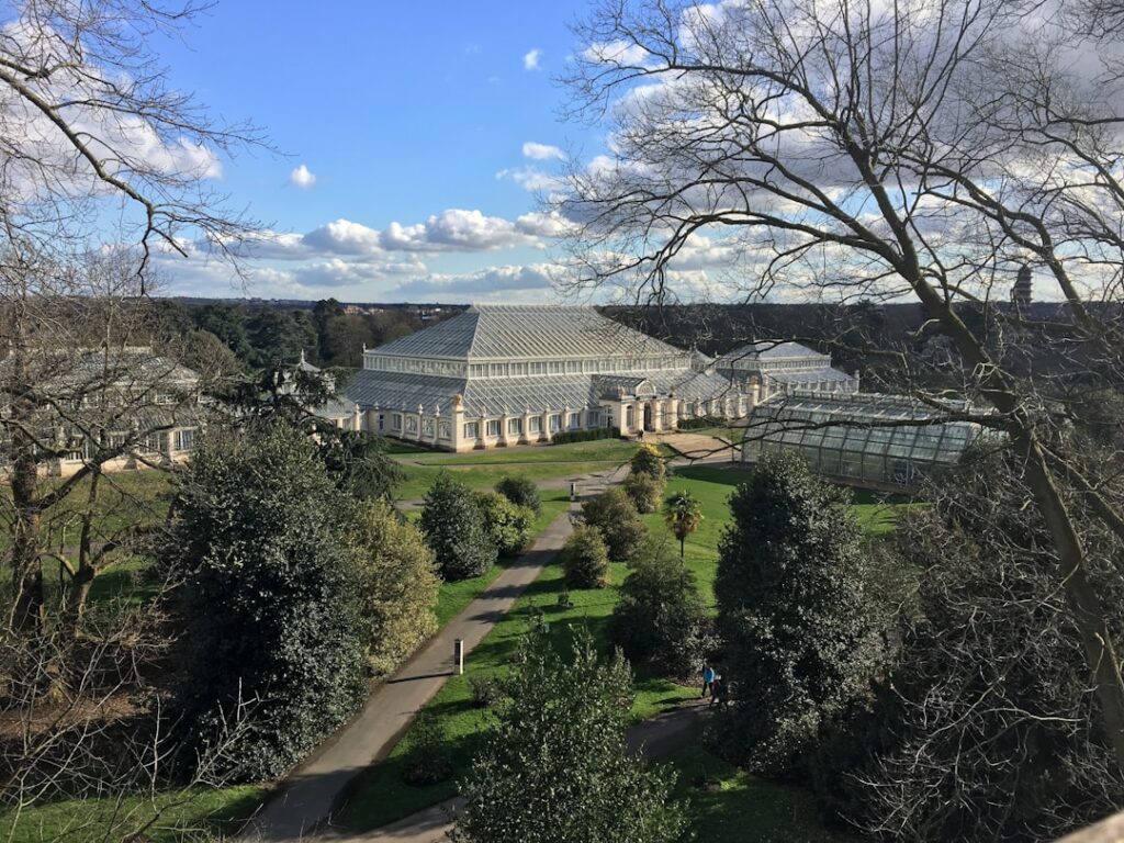 Museo Matisse e giardino