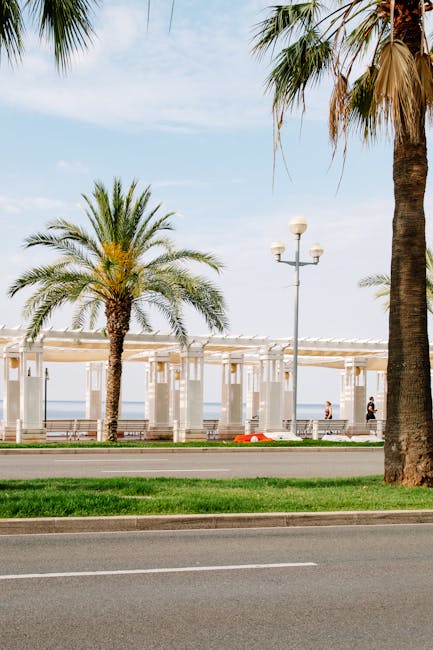 Promenade des Anglais con palme e spiaggia
