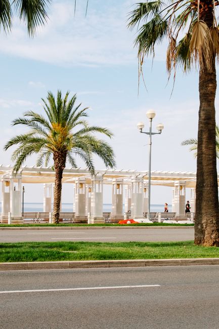 Jardin Albert Ier met palmen en fonteinen vlakbij de Promenade