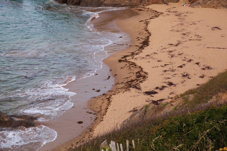 Passable beach with fine sand and calm sea in Saint-Jean-Cap-Ferrat