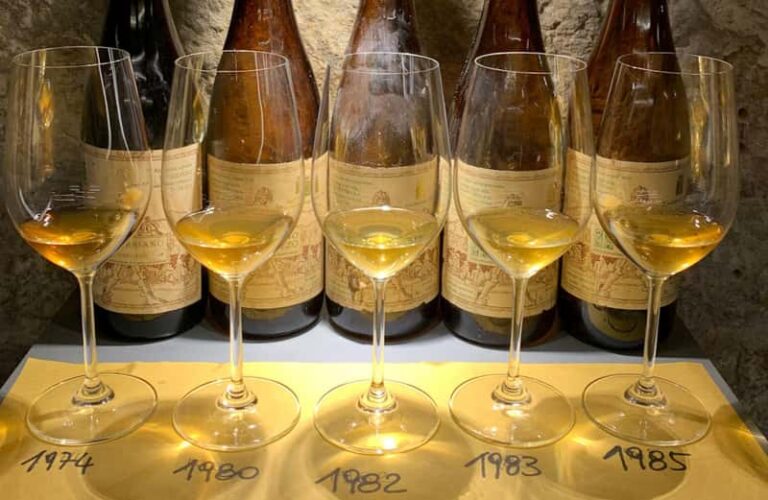 Dégustation de vins près de la tour