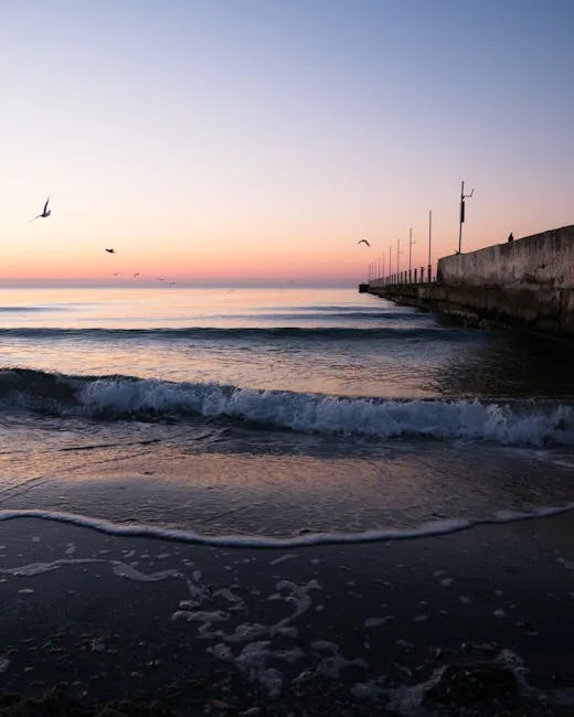 Jetée de Marina di Pisa au coucher de soleil avec mouettes et vagues