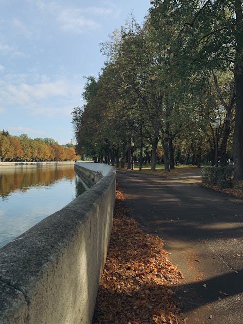 Fogliame autunnale nello Stadtpark