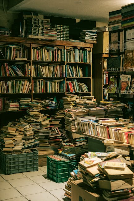 Gemütlicher Secondhand-Buchladen mit hohen Holzregalen in Wien