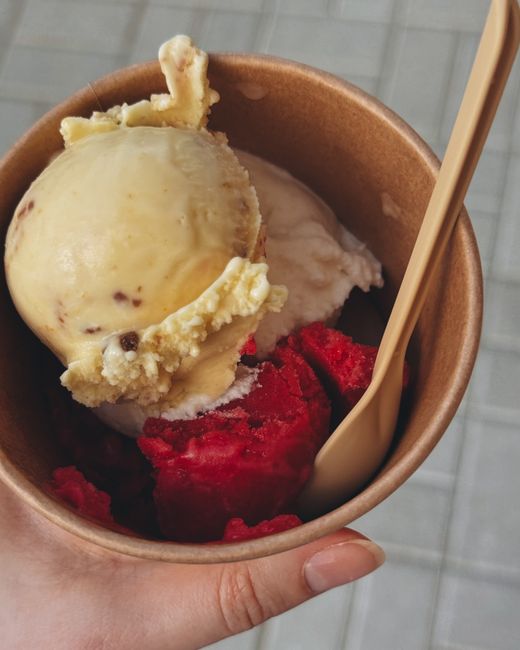 Schuimtjes vegan ijs in verschillende smaken bij Veganista, Wenen