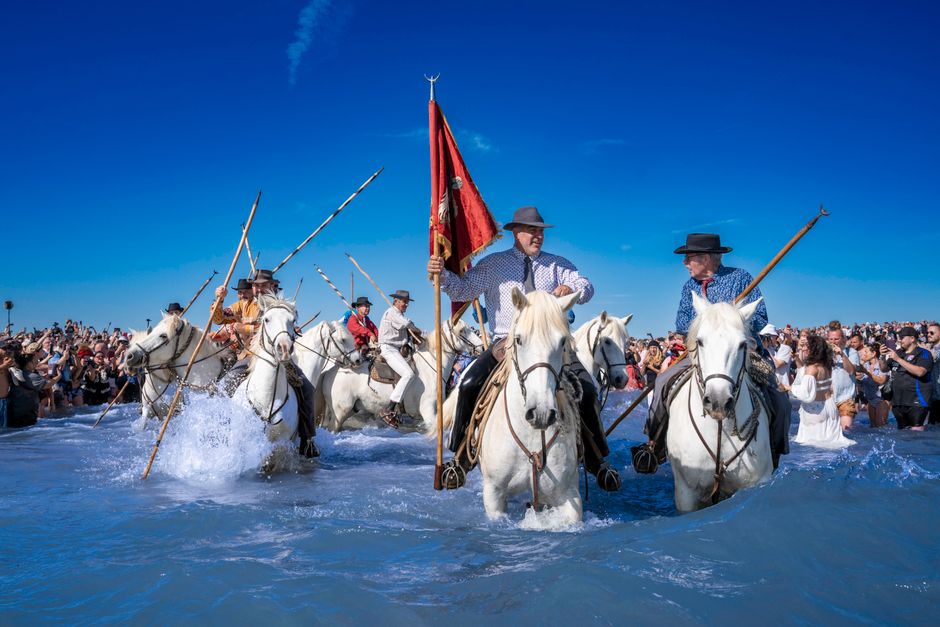 Gardians a cavallo in costume al tramonto nella Camargue