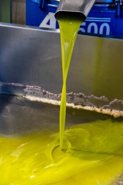 Degustazione d’olio d’oliva in piccolo frantoio a Maussane-les-Alpilles