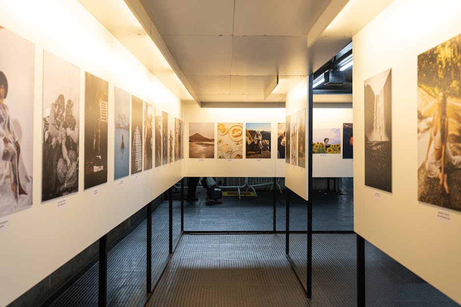 White-walled contemporary photography gallery with prints on display