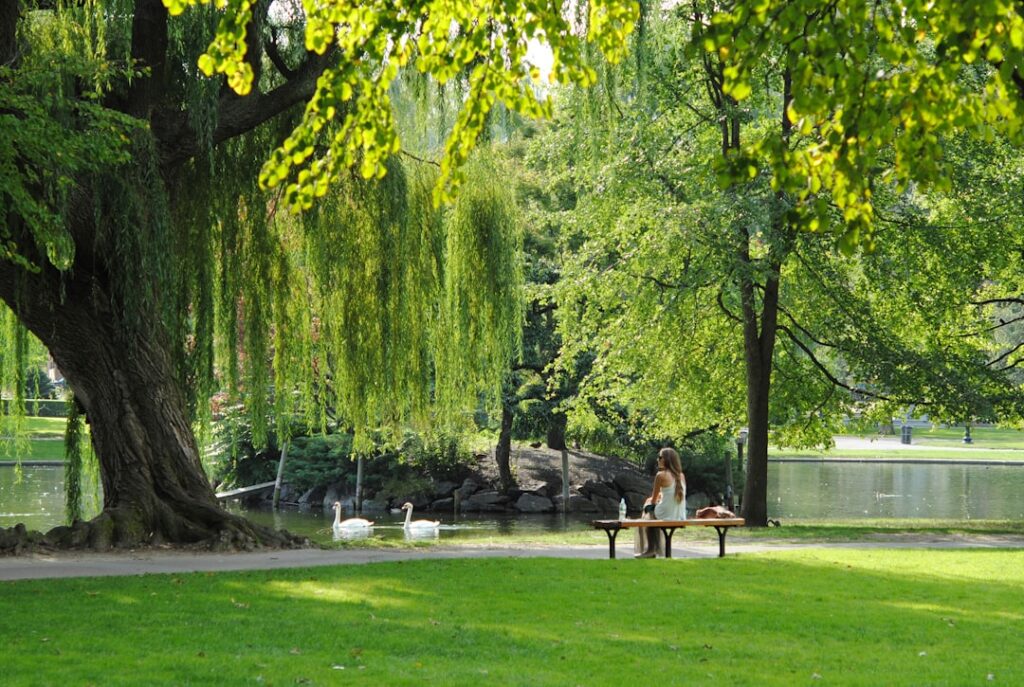 Blessington Street Basin met eenden en stedelijk groen