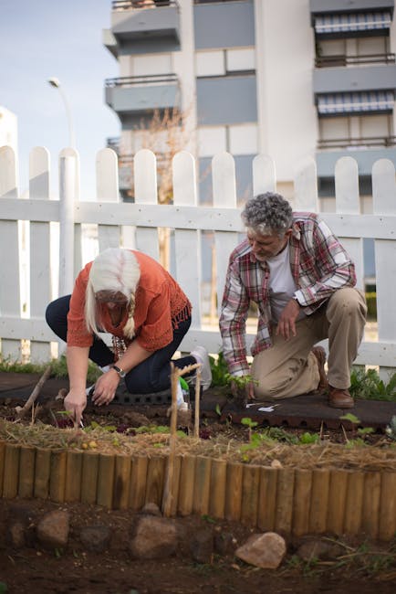 Buurtmoestuin met mensen die planten in Stoneybatter