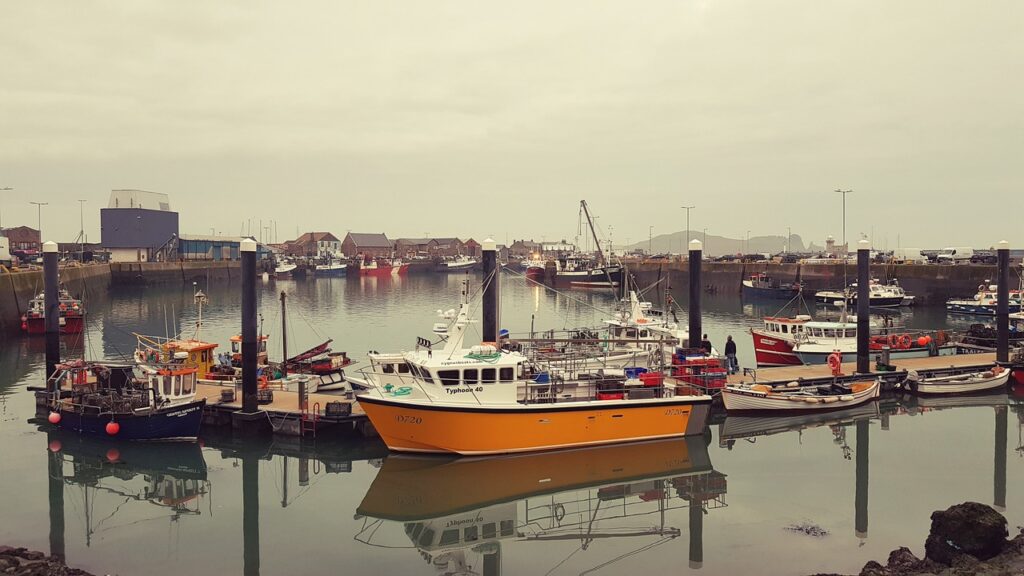 Küstenwanderung bei Howth mit Blick auf Dublin Bay