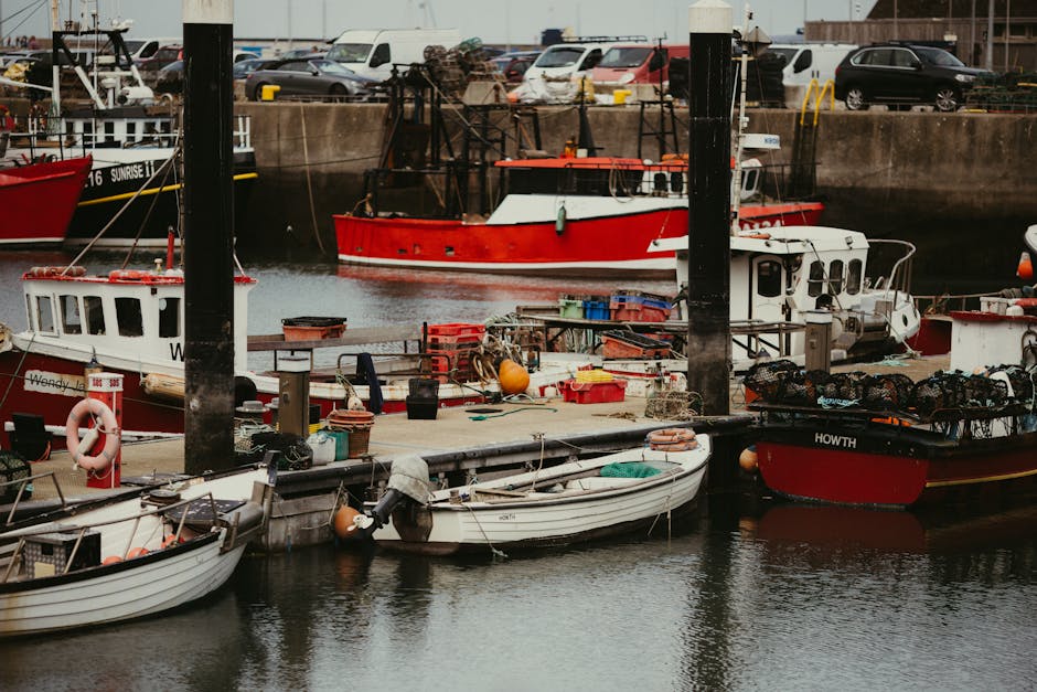 Hafen von Howth mit Seafood-Ständen beim Festival