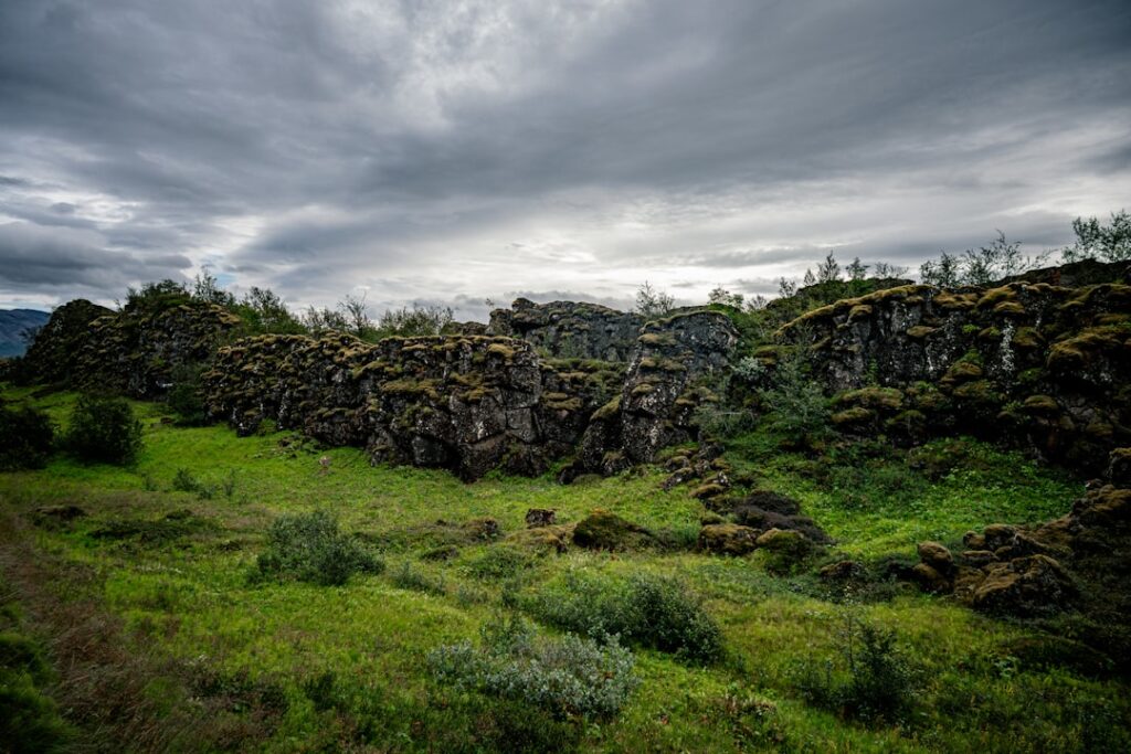 Dunkles Lavafeld mit Moosbewuchs nahe Þingvellir