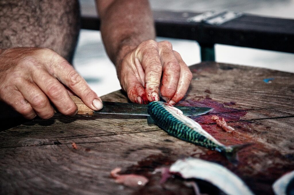 Fischer beim Ausnehmen des Fisches