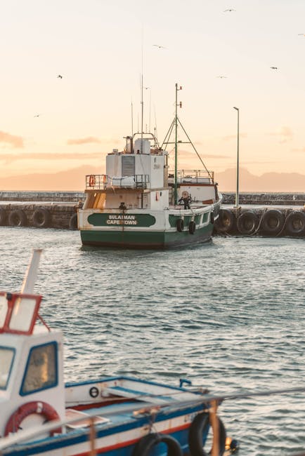 Hafen von Reykjavík mit Fischereibooten im Morgenlicht