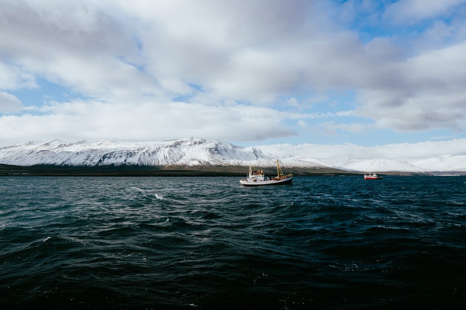 Kleines Fischerboot hebt Netz mit Fang in einem isländischen Fjord an Land
