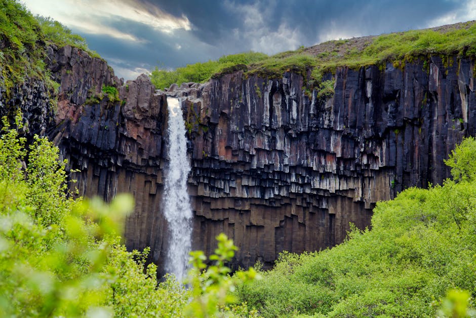 Svartifoss con colonne di basalto nel parco nazionale