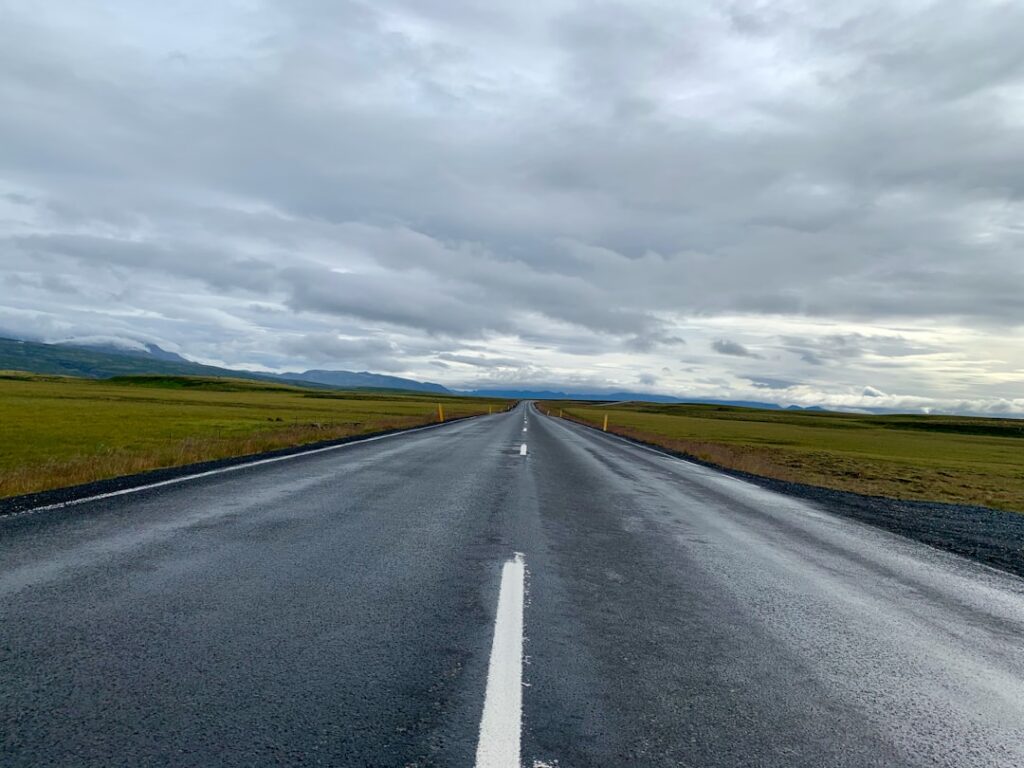 islandzka zagroda z owcami przy drodze krajowej