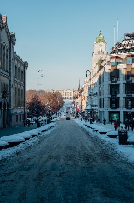 Karl Johans gate w kierunku Pałacu Królewskiego, z zielenią