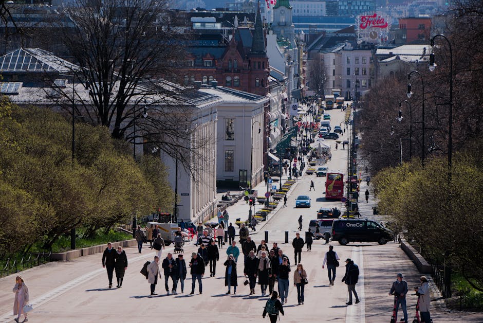 Muzyk uliczny na Karl Johans gate w pobliżu Pałacu Królewskiego