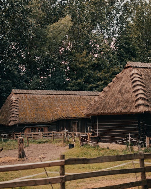 Traditionele Zweedse houten huizen bij Skansen in de zomer