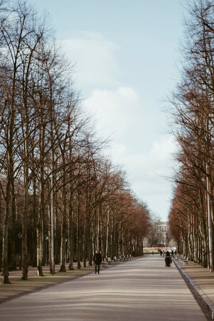 Viale alberato vicino al parco Valhallavägen