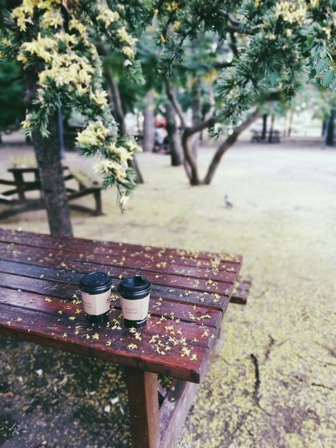 Café‑Tisch im Freien neben Park in Stockholm