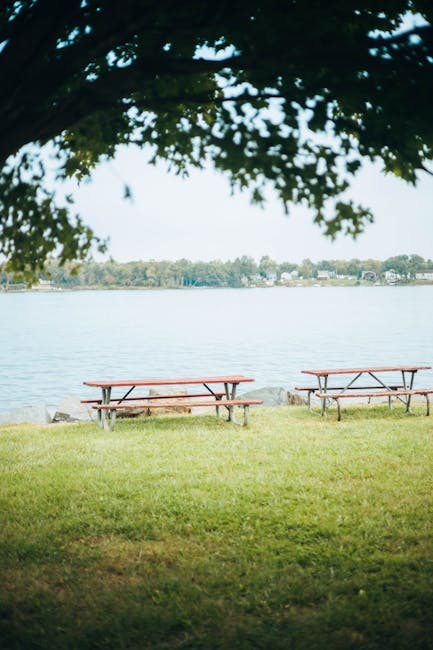 Tantolunden Park mit Bäumen und Picknick am Wasser