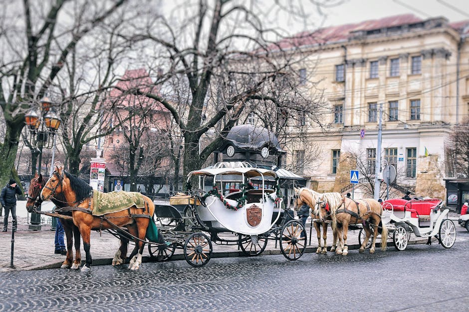Historic horse-drawn tram in Bucharest