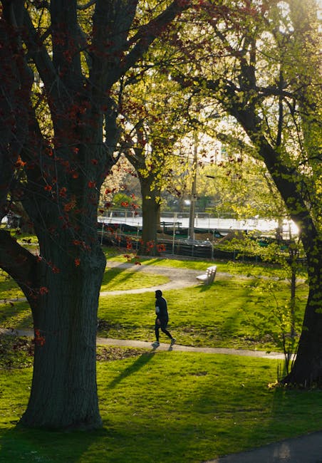 Viale del parco sotto gli alberi con luce del sole e jogger in lontananza