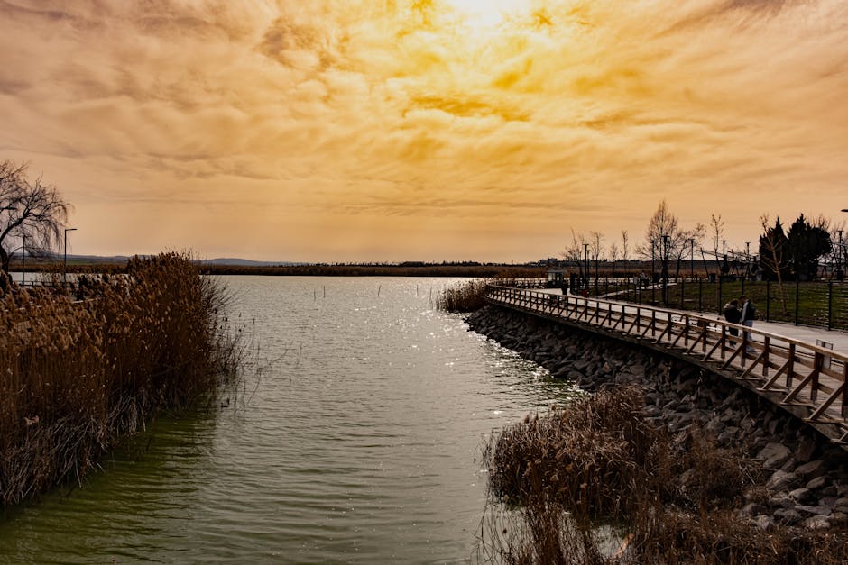 Sonnenuntergang über dem See im Parc Titan, Weg im goldenen Licht