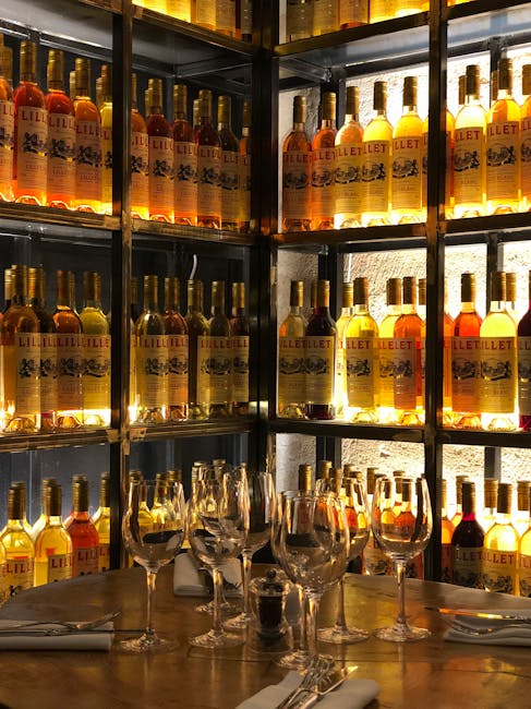 Tasting session inside La Cité du Vin exhibition space