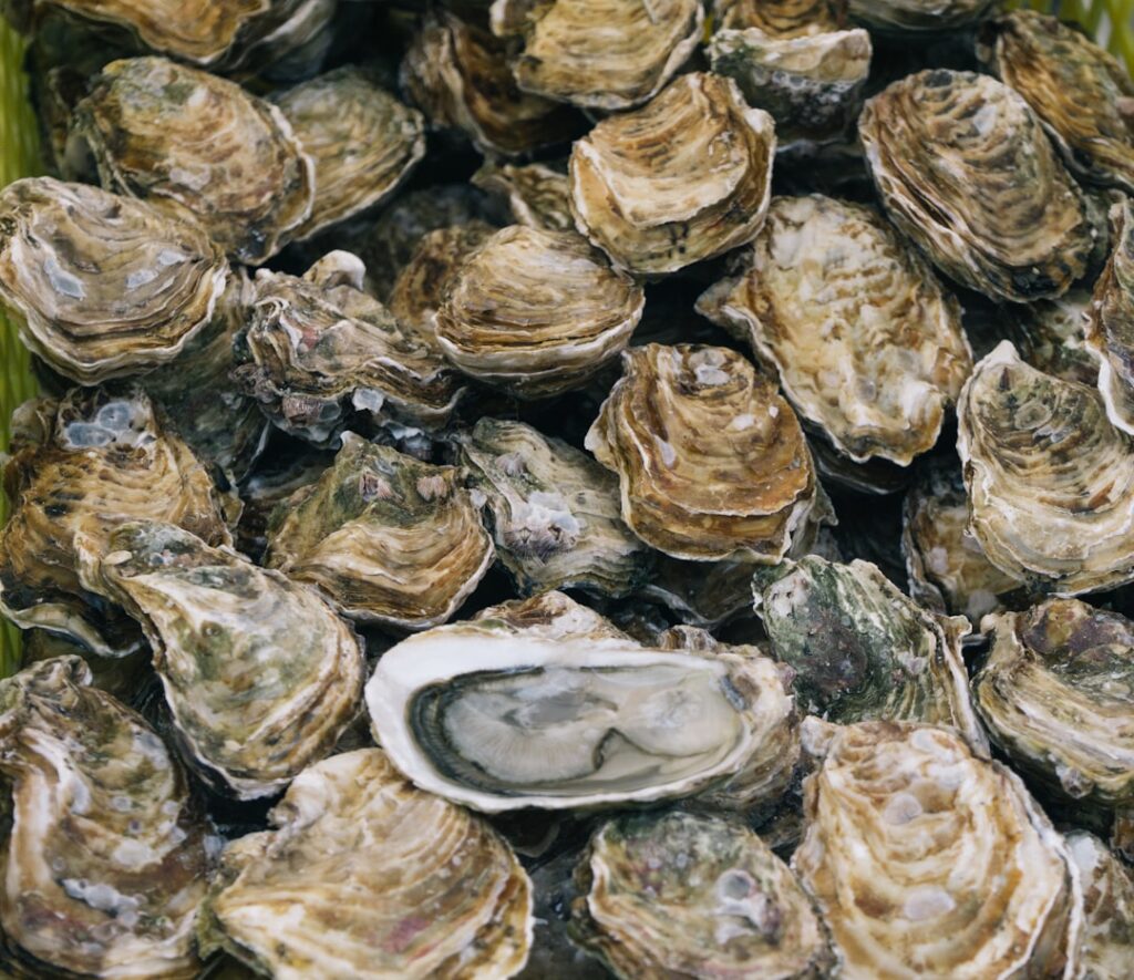 Fresh seafood and oysters at the local Capucins market