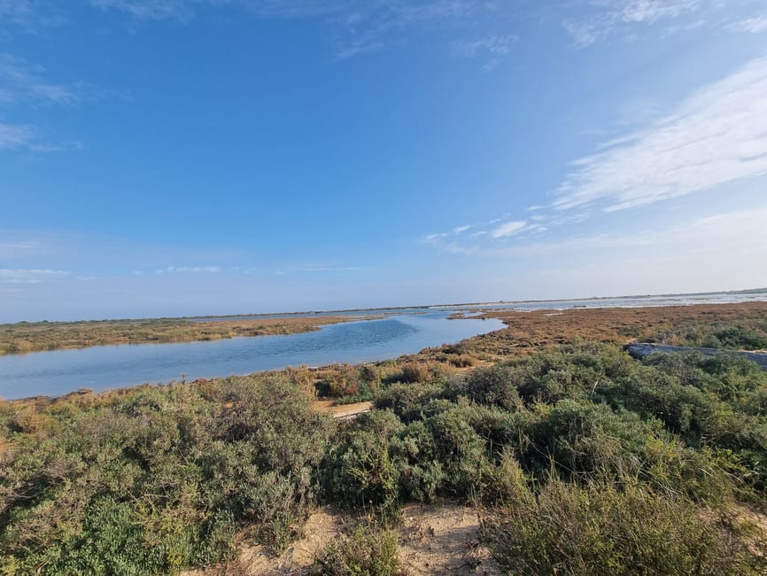 Blick auf die Gironde bei Pauillac
